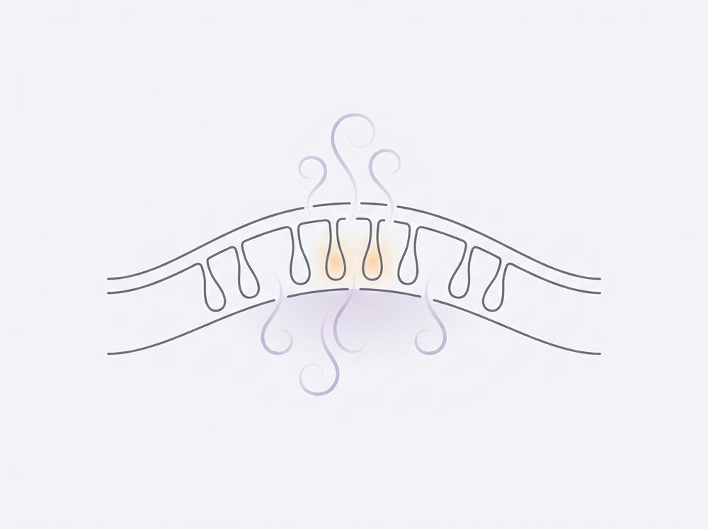 Cross-section illustration of a meibomian gland being cleared by warm steam